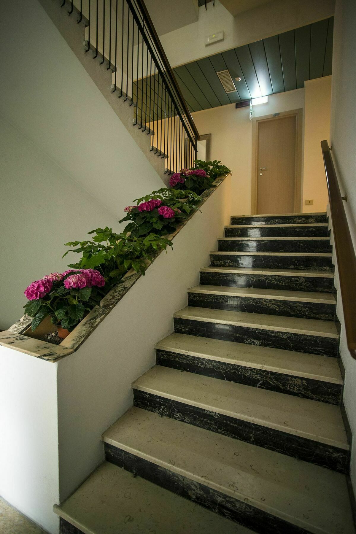 Hotel 21 Riccione Esterno foto